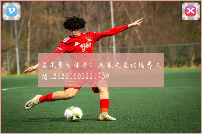 国足青训体系：未来之星的培养之路_20260603221739
