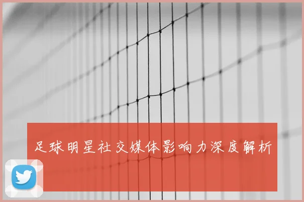 足球明星社交媒体影响力深度解析